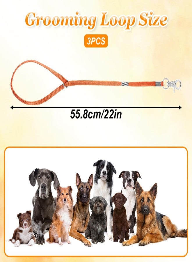 Jxiwfvl 3 PCS Pet Dog Grooming Loops, Adjustable Nylon Restraint Noose Loop Rope, Fixed Dog Cat Safety Bathing Tether Straps for Pet Grooming Arm Table Bathtub Accessories - Image 2
